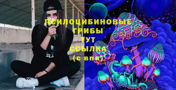 a pvp Беломорск