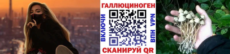 цены   Яхрома  Галлюциногенные грибы мицелий 