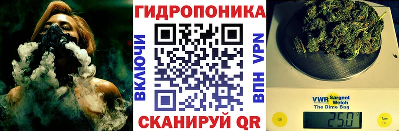 Каннабис индика  Яхрома 